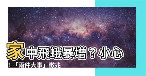 飛蛾代表幾號|飛蛾入夢：7天內必中大獎